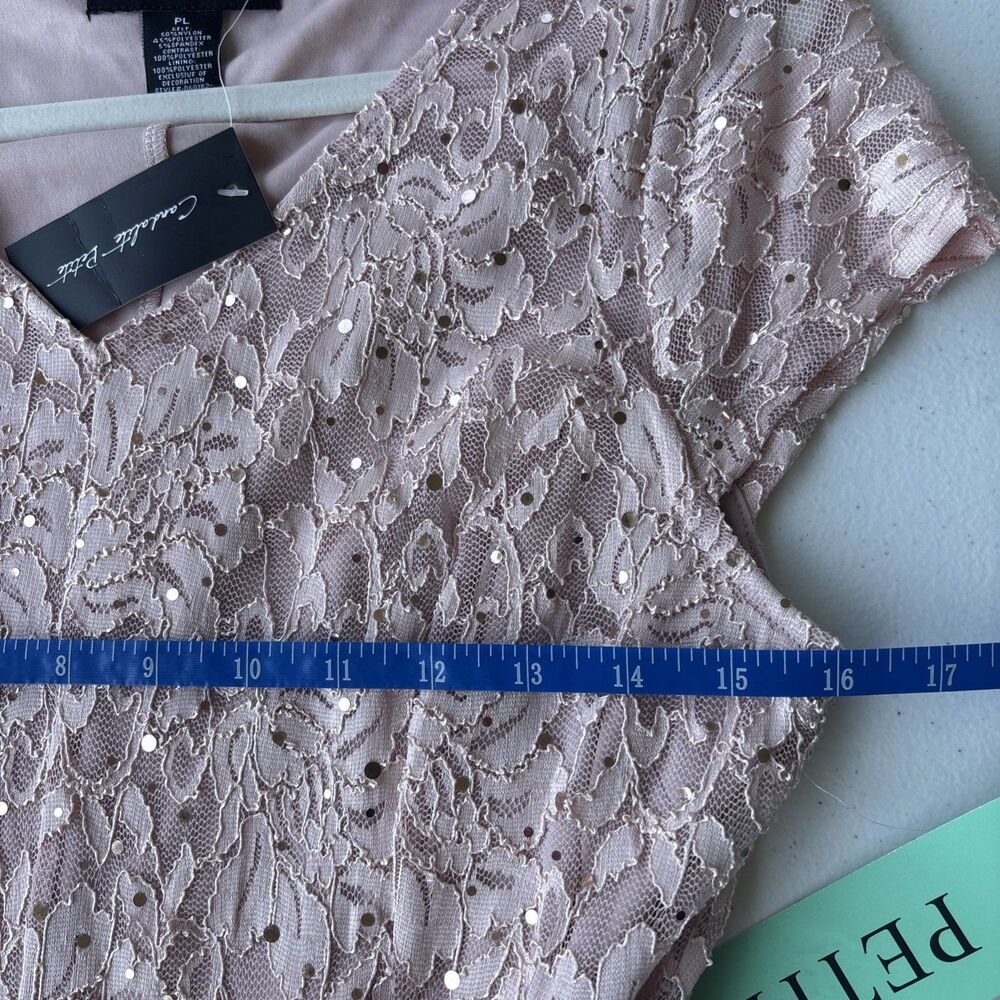 Candalite Petite Lace Filigree Maxi Dress Gown Formal Wedding size PL Pink - Picture 4 of 6